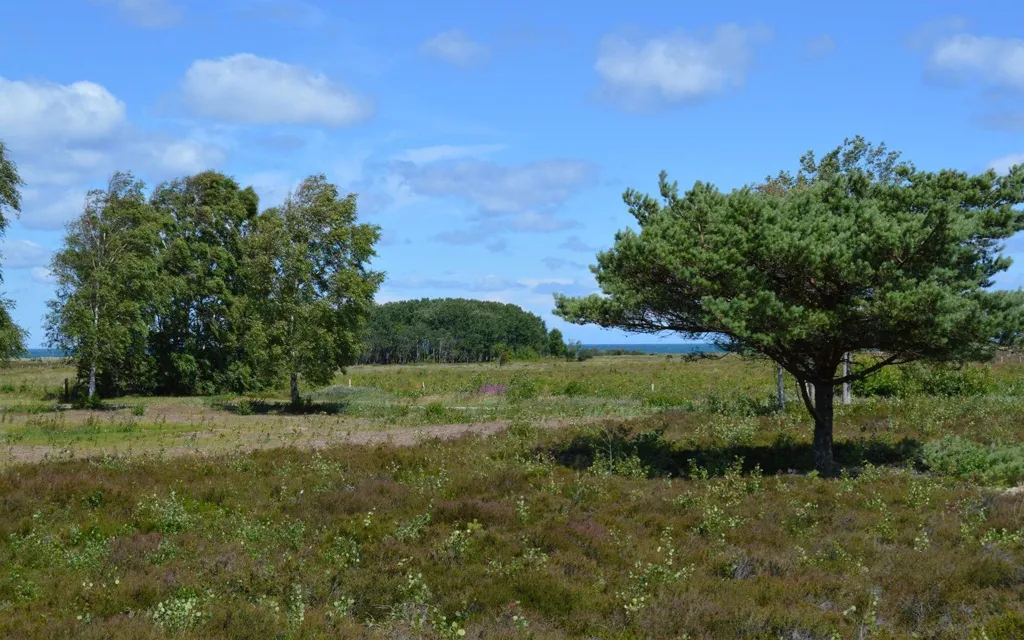 Terrain à Læsø