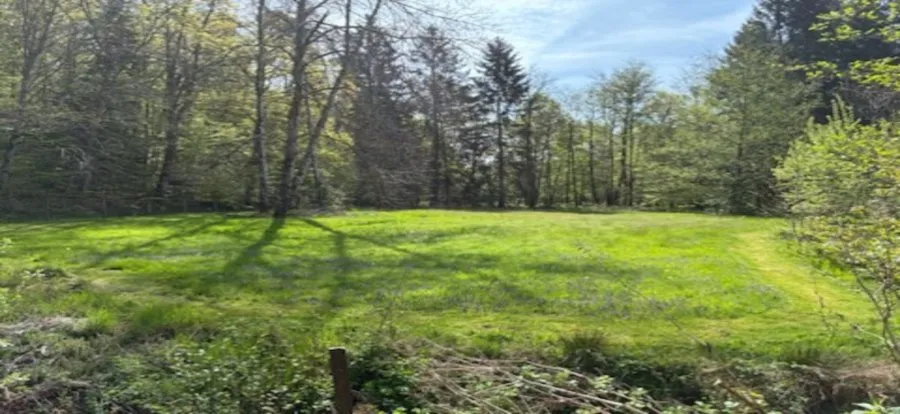 Jardin - Terrain avec Étangs Vidangeables et Maison à Épinal