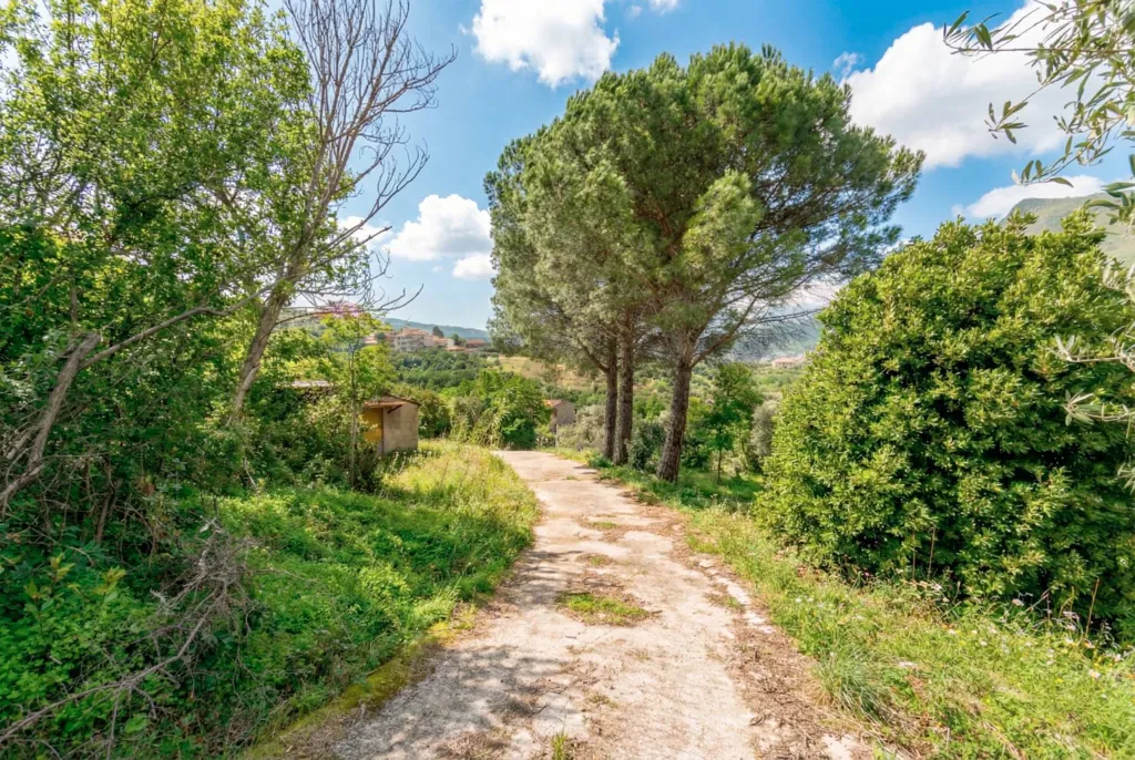 Aed - Rustic Villa with Edificable Land in Monreale
