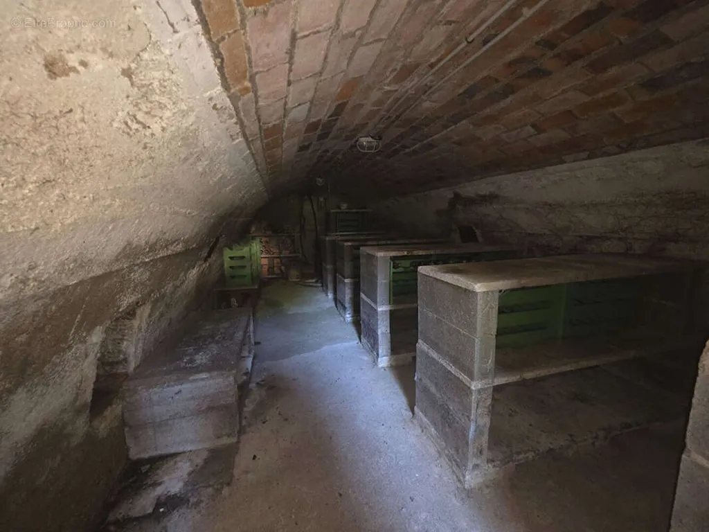 cellar