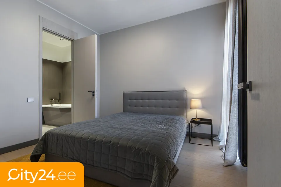 Magamistoad - 3-Bedroom Apartment with Terrace in Riga Centre