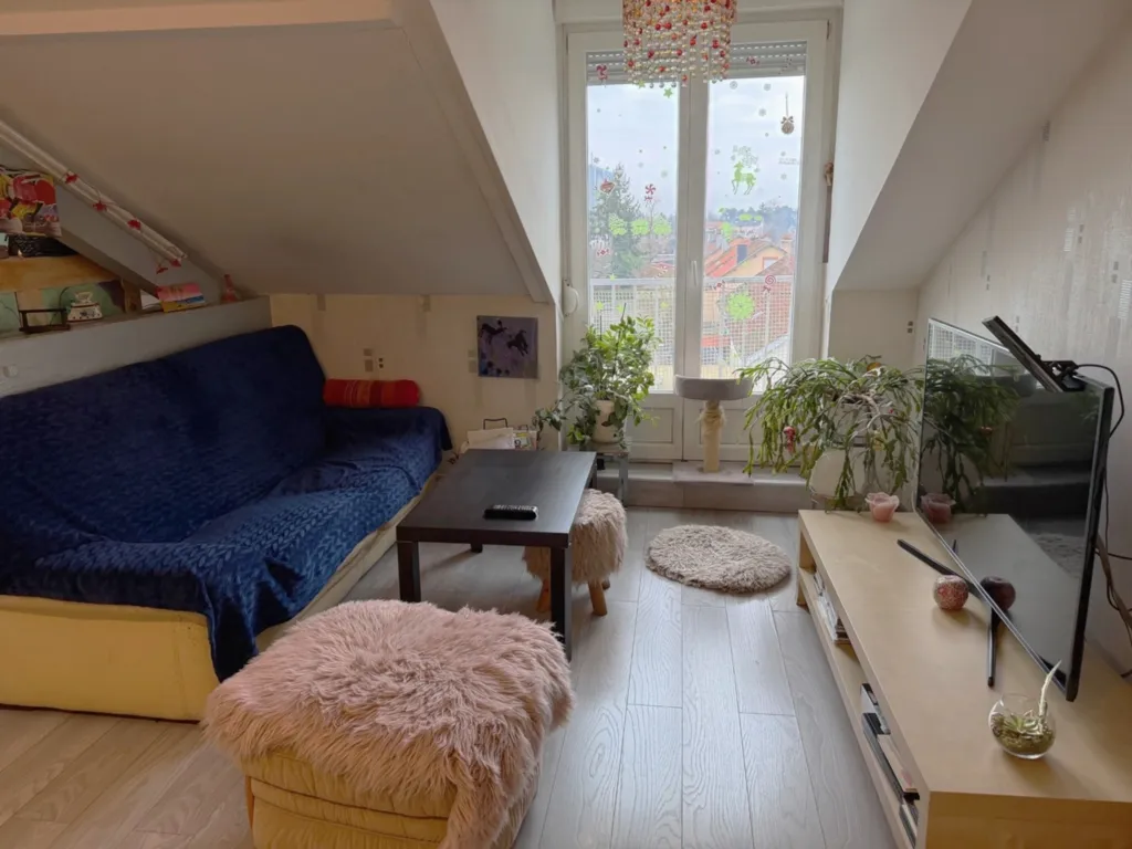 Séjour - Duplex avec Jardin et F2 Indépendant à Florange