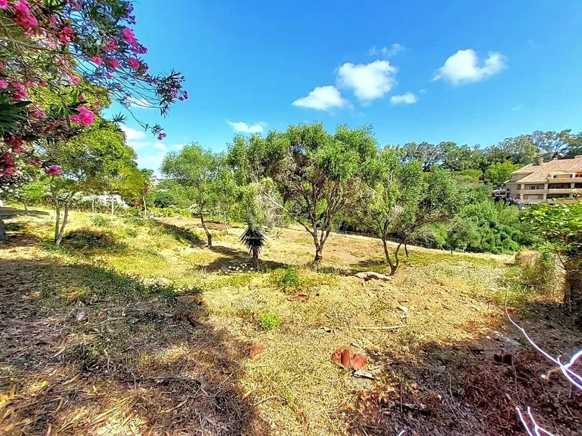 Giardino - Chalet with Garden Views in Sotogrande