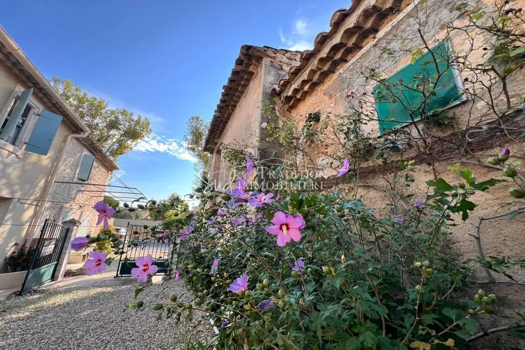 Jardin - Villa de 10 Pièces avec Jardin à Maussane-les-Alpilles
