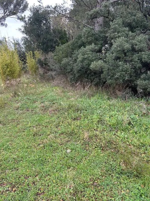 Jardin - Terrain à Bâtir avec Permis à Marseille-12e