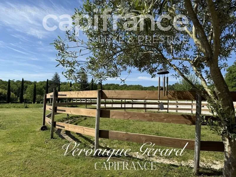 Aed - Equestrian Property with Longère in Salleboeuf
