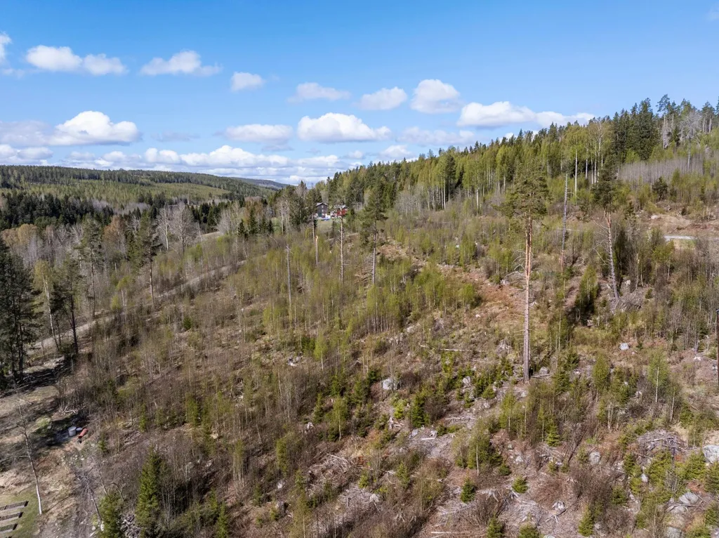 Giardino - Unbuilt Land with Forest in Sundsvall