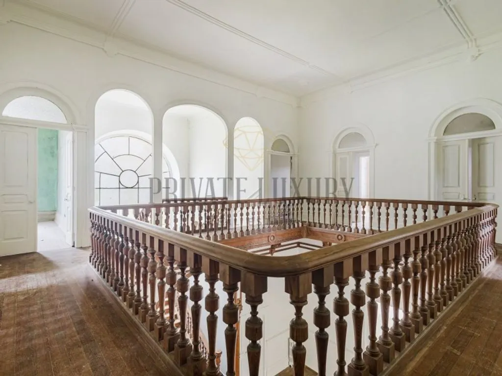 Toad - Historic Quinta with 100 Hectares in Sintra