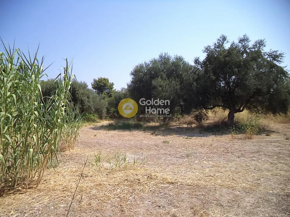 Jardin - Corner Plot with Sea View in Erineo - Búka