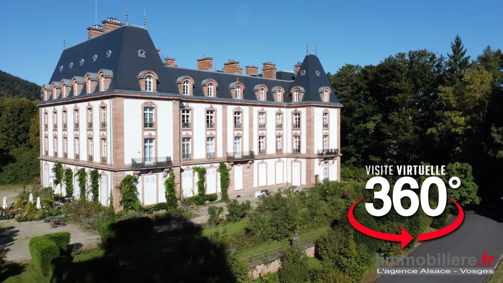 Vista aerea - Luxury Flat with Park Views in Saint-Dié-des-Vosges