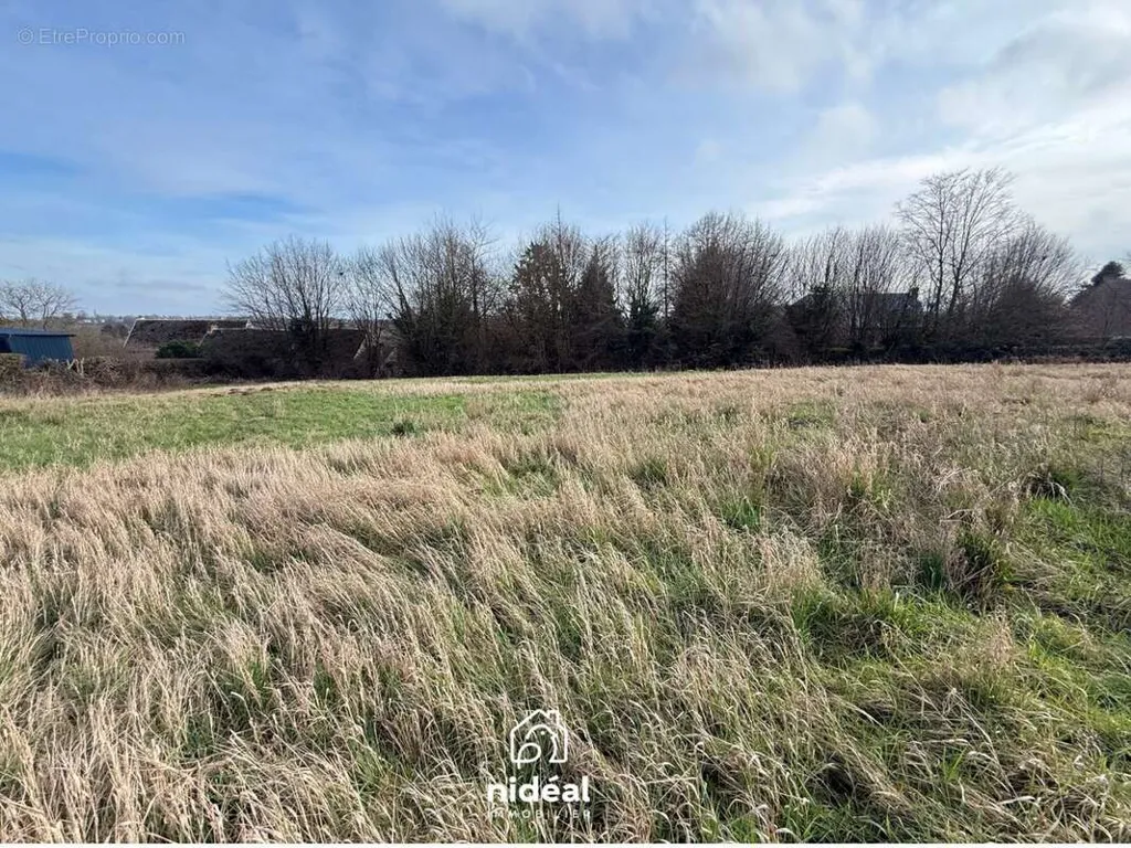 Giardino - Buildable Plot with West Exposure in Boussières-sur-Sambre