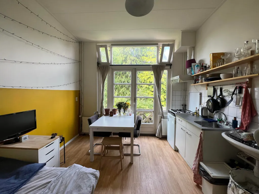 Cucina - Student Room with Balcony in Groningen