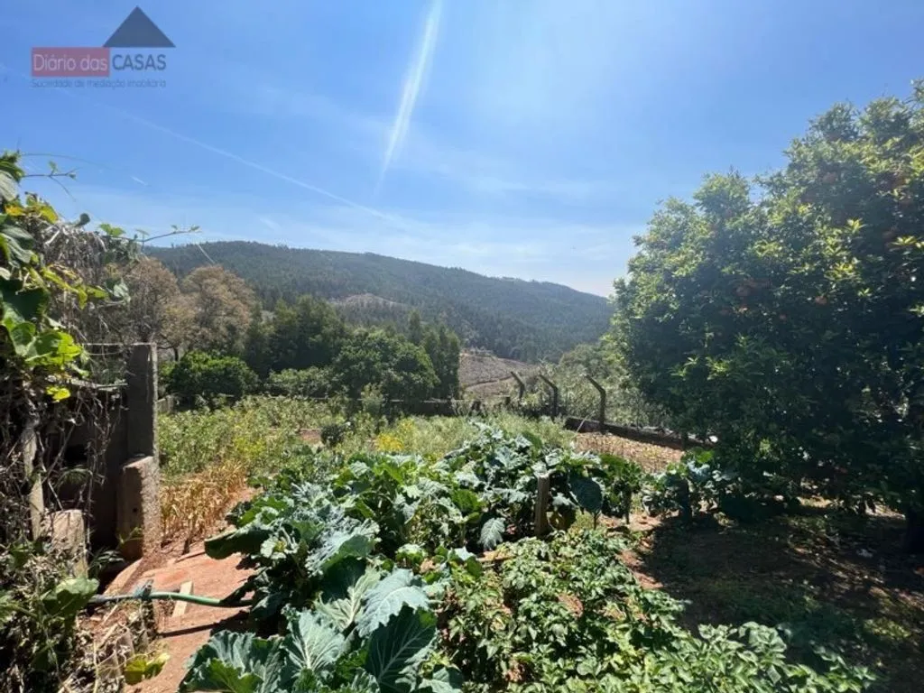 Jardin - Luxury Apartment Complex with Garden in Coimbra