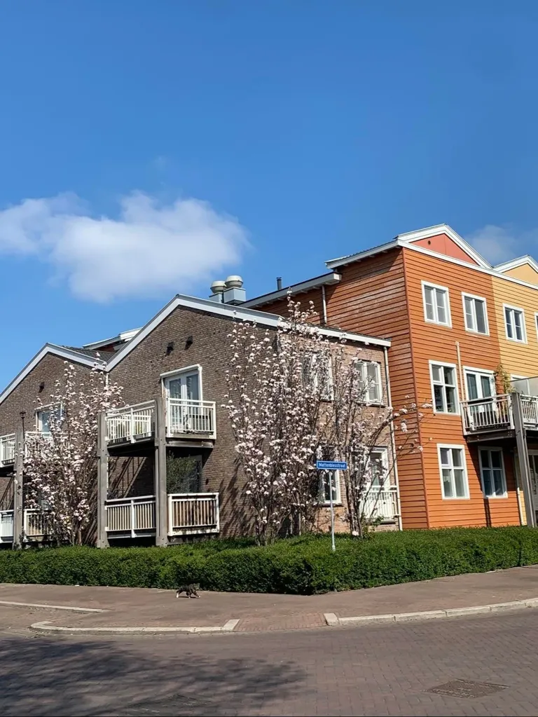 Extérieur - 5-Bedroom Penthouse with Balcony in Rotterdam
