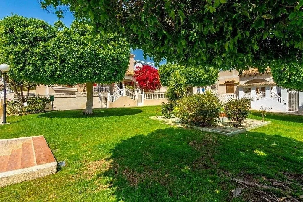 Garden - Terraced House with Pool in Torrevieja Centre