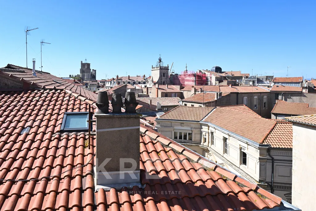Terrasse - Hôtel Particulier Historique avec Patio à Béziers