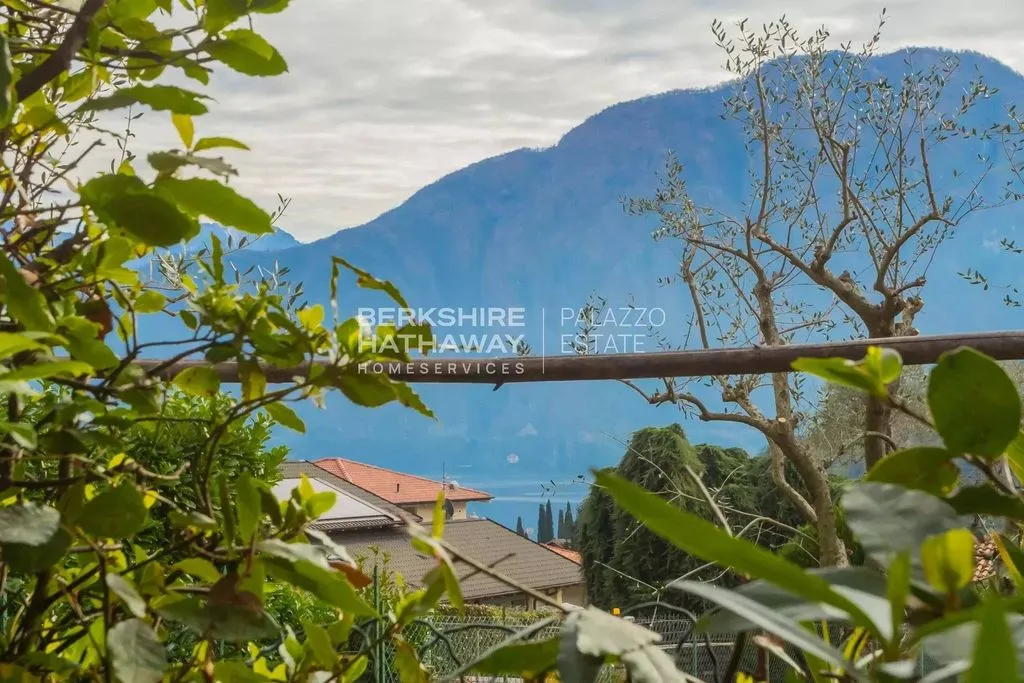 Jardin - Lake View Villa with Garden in Tremezzina
