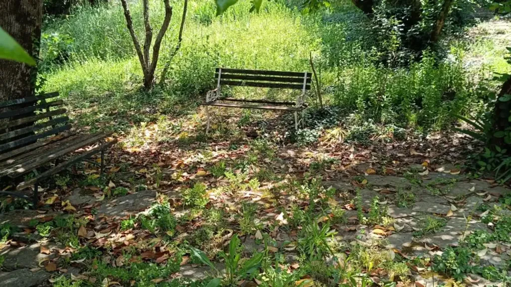 Giardino - Panoramic Apartment with Garden in Settignano, Florence