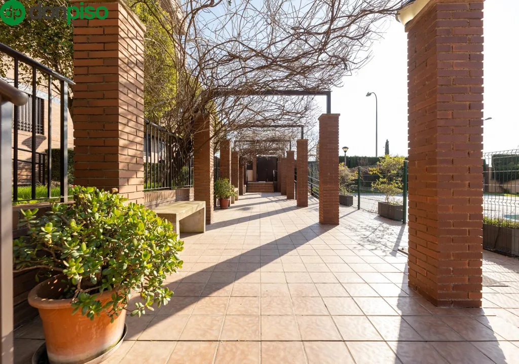 terrace_patio
