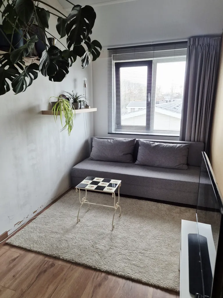 Elutuba - Shared Living Room Flat near Delft Centre