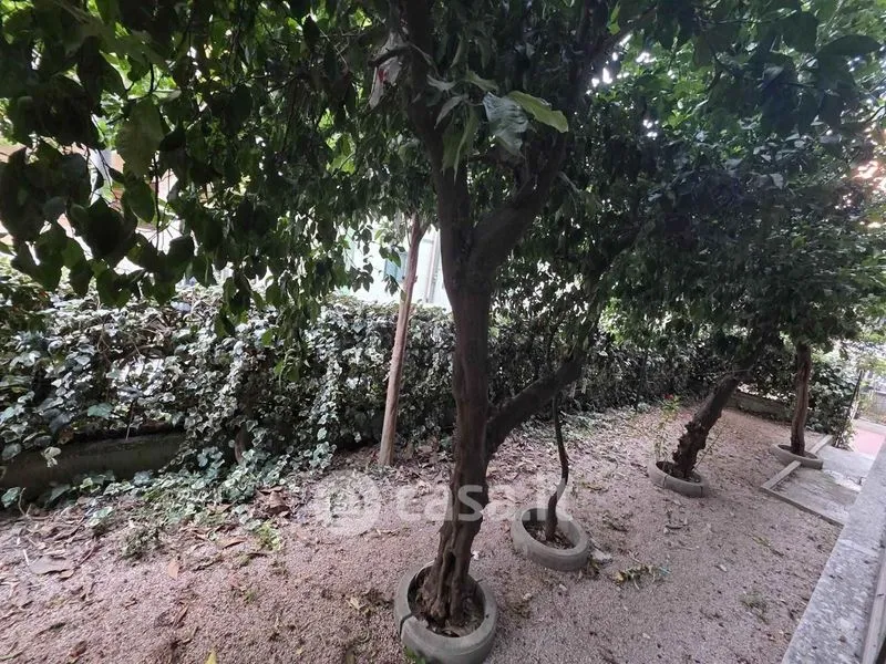 Jardin - Fully Furnished Flat in City Centre, Caserta