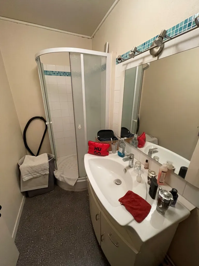 Salles de bain - Appartement T1 Bis avec Balcon au Centre Ville