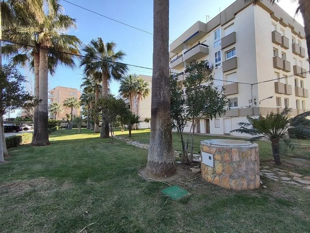 Jardin - Studio with Garden and Garage near Dénia
