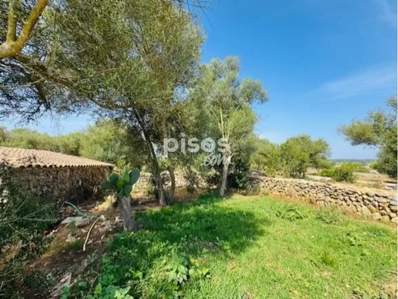 Jardin - Rustic Finca with Pool near Manacor