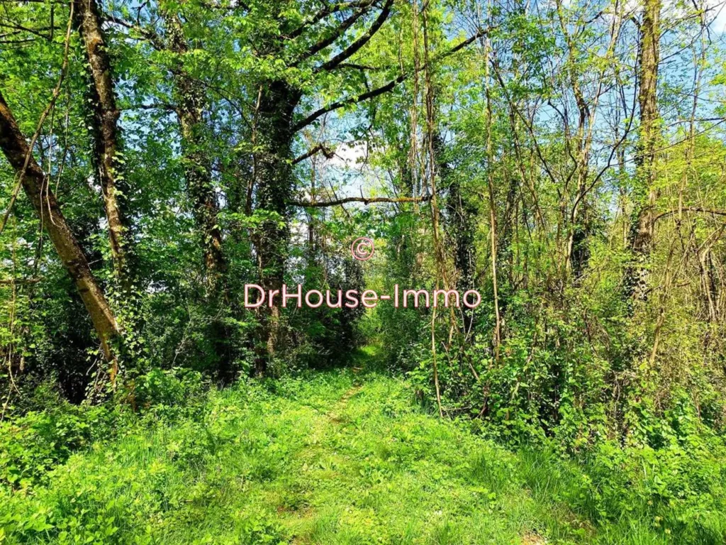 Jardin - Corps de Ferme avec Terrain à Segonzac