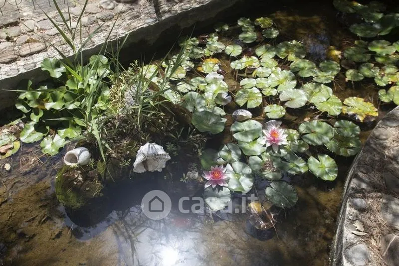Piscine - Cilento Villa with Private Beach Access in Pollica