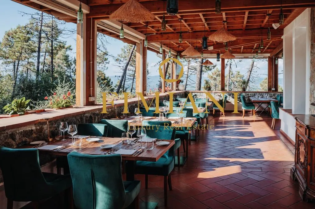 Terrasse - Luxury Hotel with Pool in Greve in Chianti