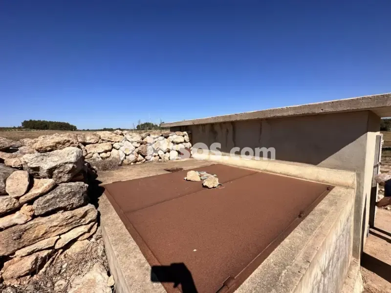 Jardin - Historic Finca with Vineyards in Requena