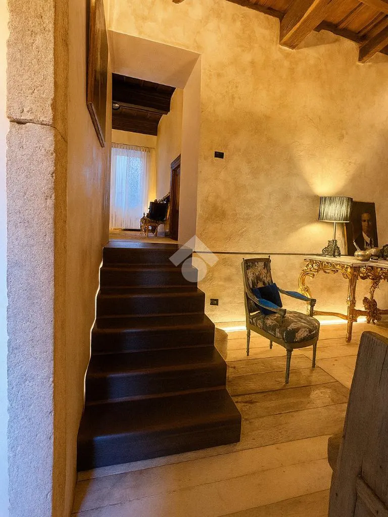 Toad - Charming 5-Bedroom Apartment in Orte