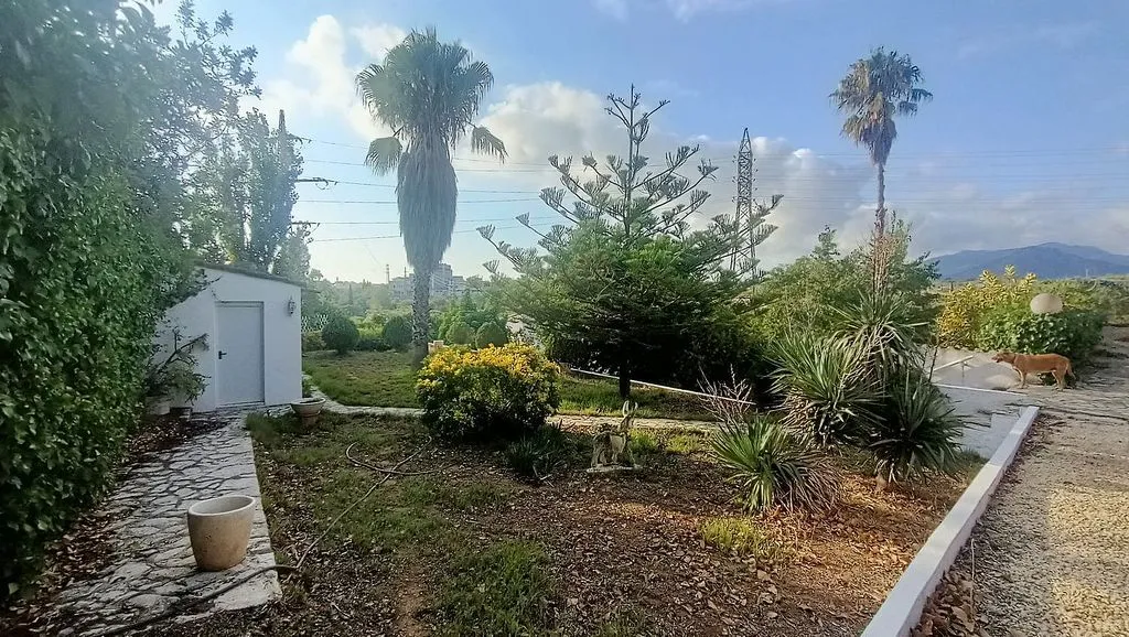 garden