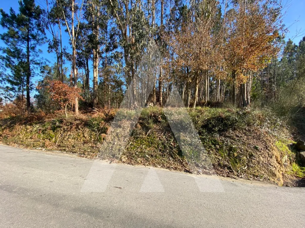 Jardin - Buildable Land near Santa Maria da Feira Centre