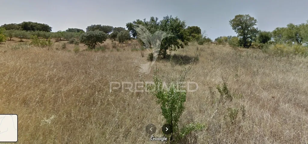 Aed - Rustic Land with Olive Trees in Alandroal