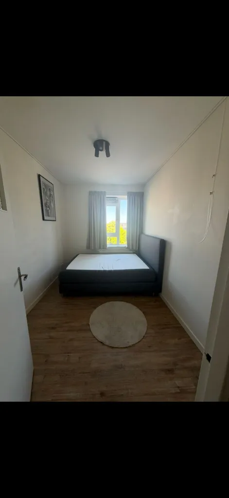 Magamistoad - Studio Apartment in Rotterdam Centre