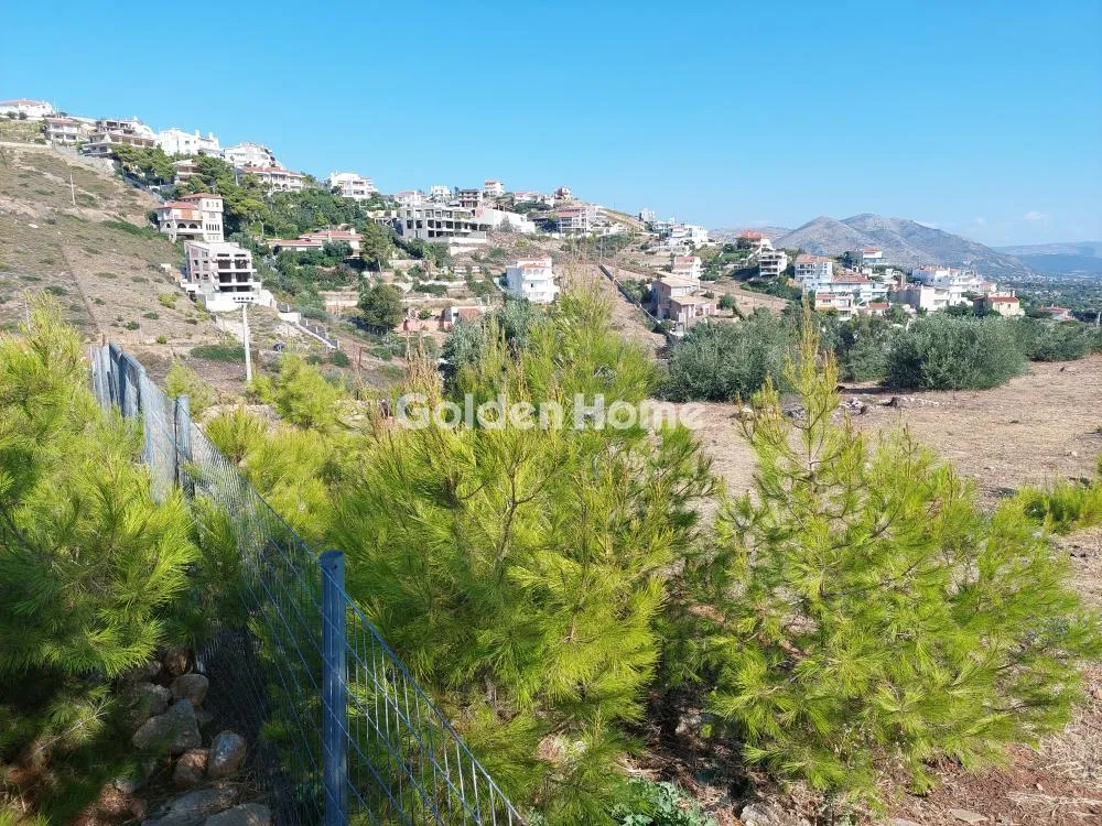 Plot with Sea View in Nea Makri