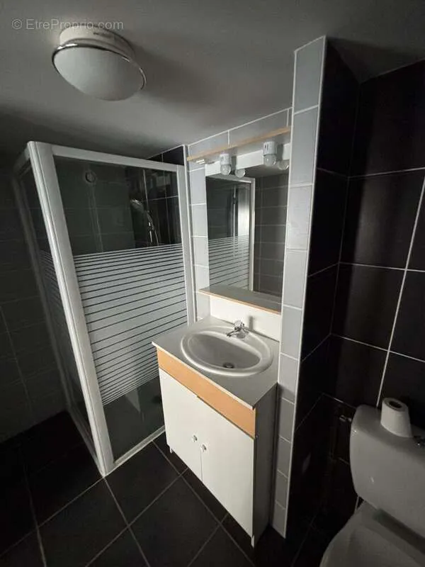 Salles de bain - Appartement Duplex Meublé à Saint-Étienne