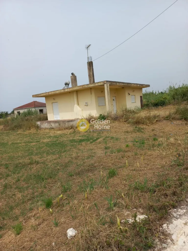 Exterior - Villa with Garden in Arta - Marathovouni
