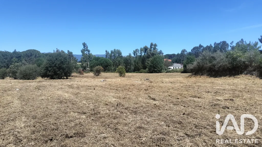 Rural Land with Expansion Potential in Tondela