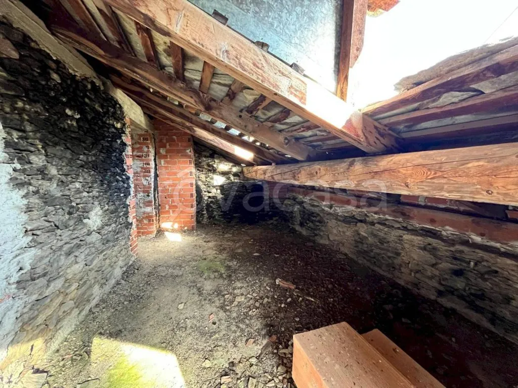 Toad - Rustic House with Garden in Frassino