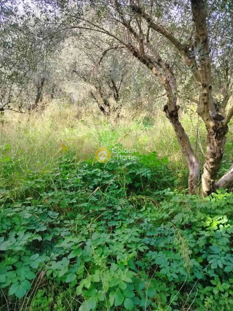 Jardin - Plot with Sea View in Ammoudara