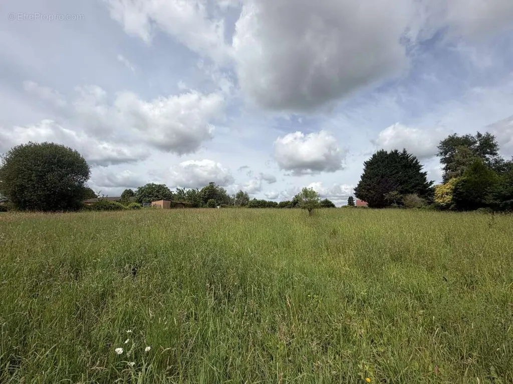 Jardin - Terrain Constructible à Linards, Proche de Châteauneuf-la-Forêt