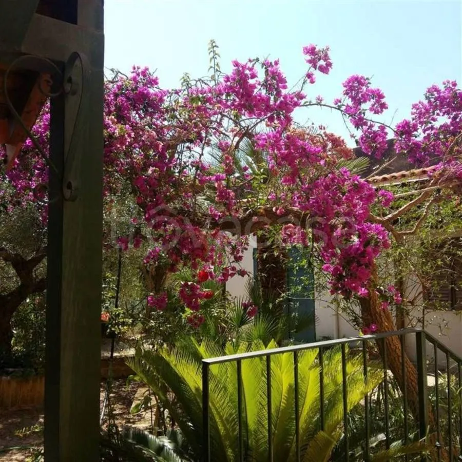 Jardin - Rustic Casale with Olive Grove in Sciacca