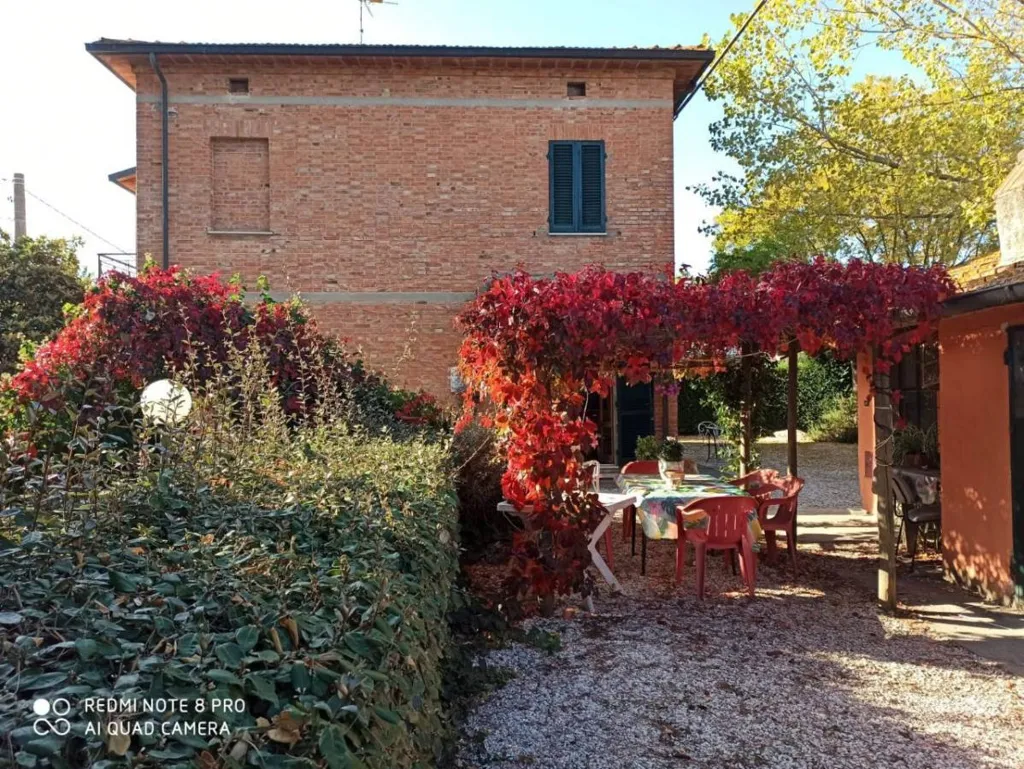 terrace_patio