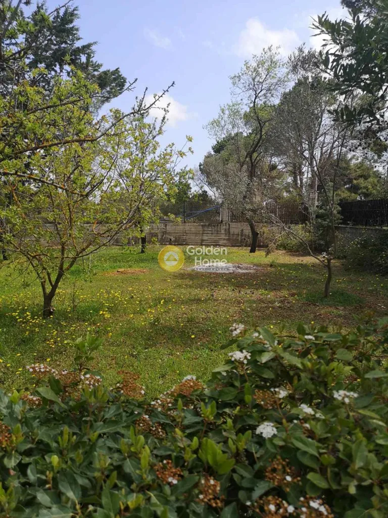 10-room house in GR