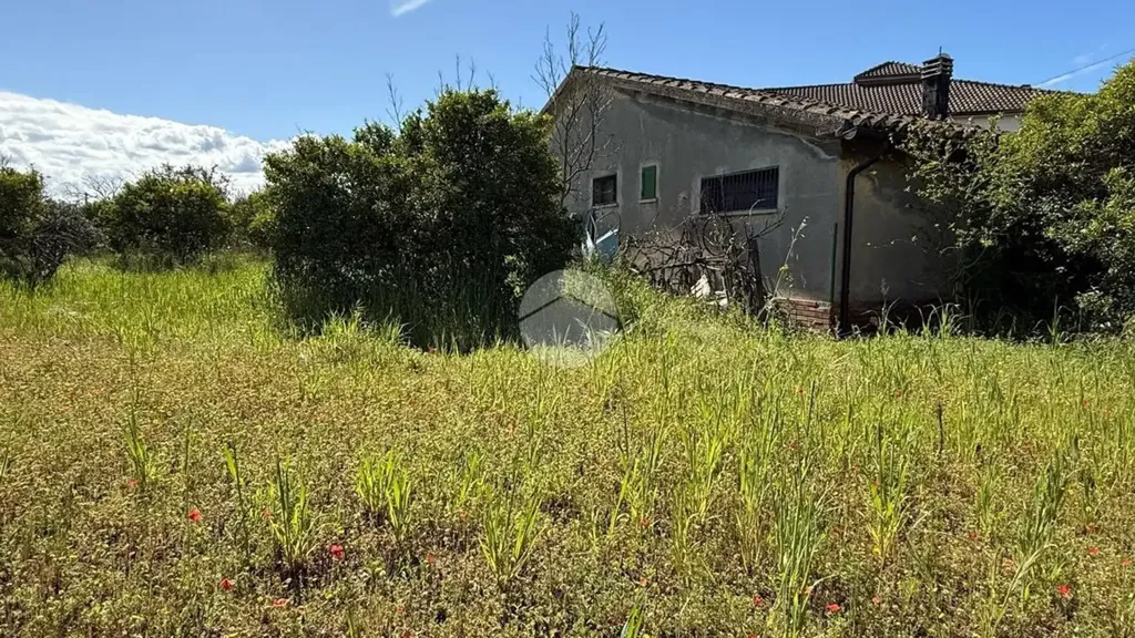Jardin - Rustic House with Large Garden in Corigliano-Rossano