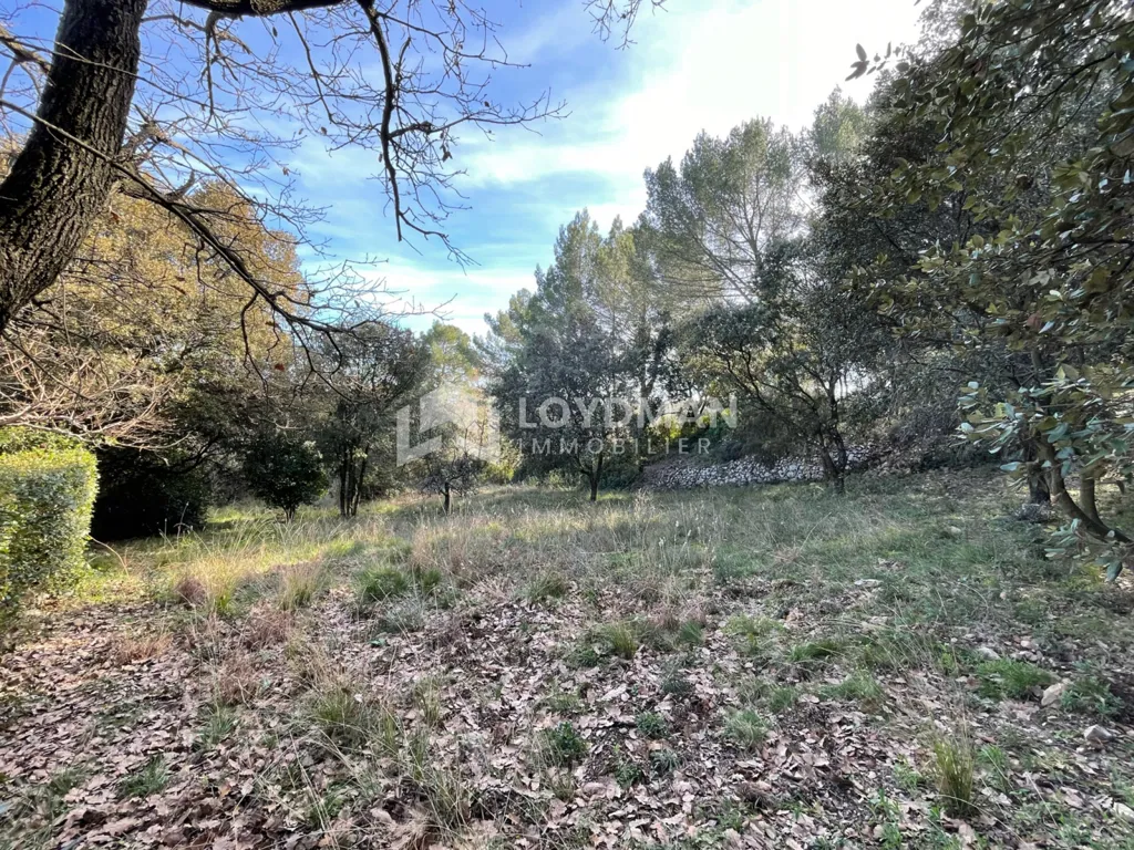 Aed - Viabilised Plot with Views in Murviel-lès-Montpellier
