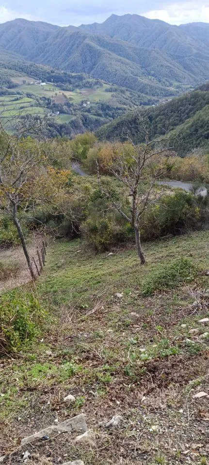 Aed - Rustic Casale with Garden in Firenzuola